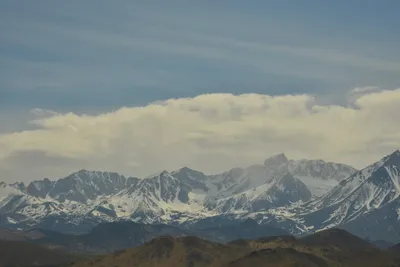 DSC_6597 (Large).JPG